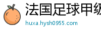 法国足球甲级联赛